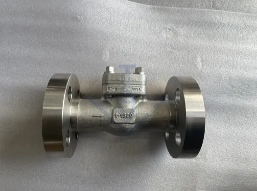 Flanged Swing Check Valve